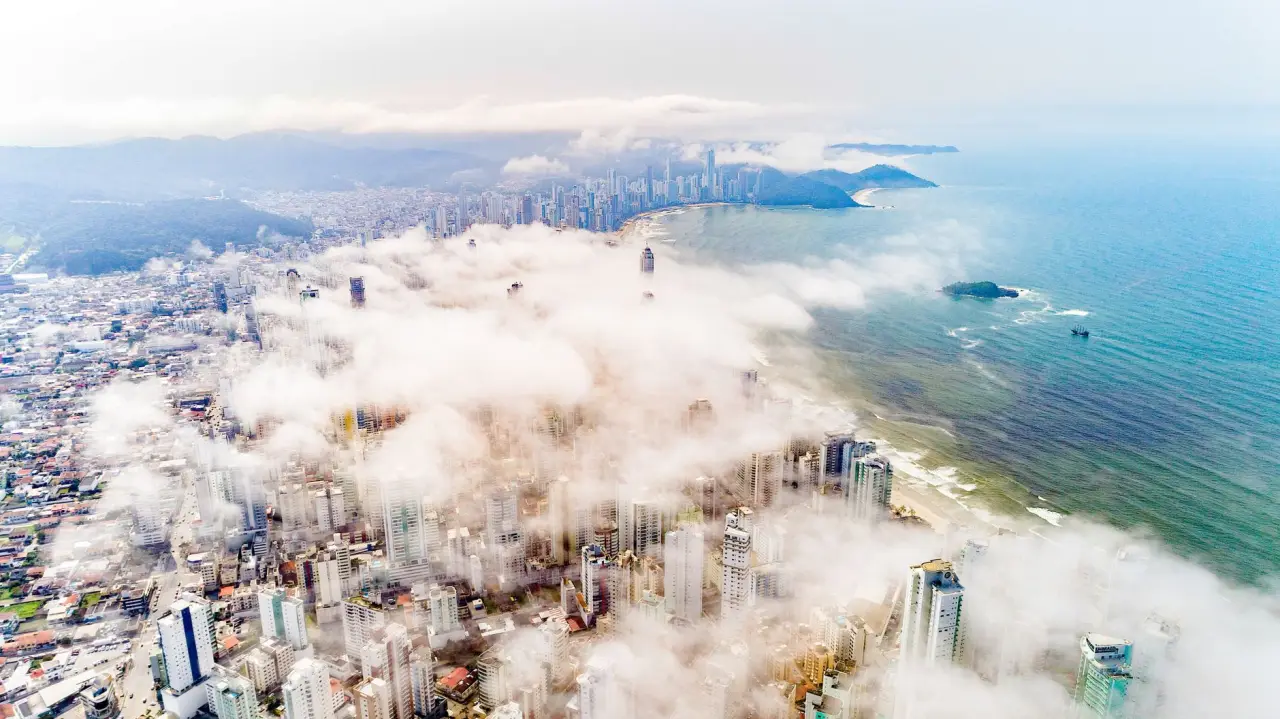 企业管理咨询与工商服务项目差异对比分析